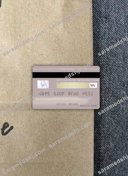 Cameroon Afriland First bank visa card photolook back